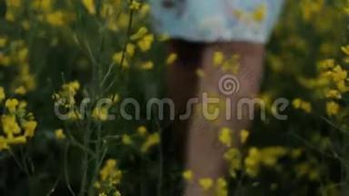 美丽的女孩走在黄花的田野里。 微笑和欢笑